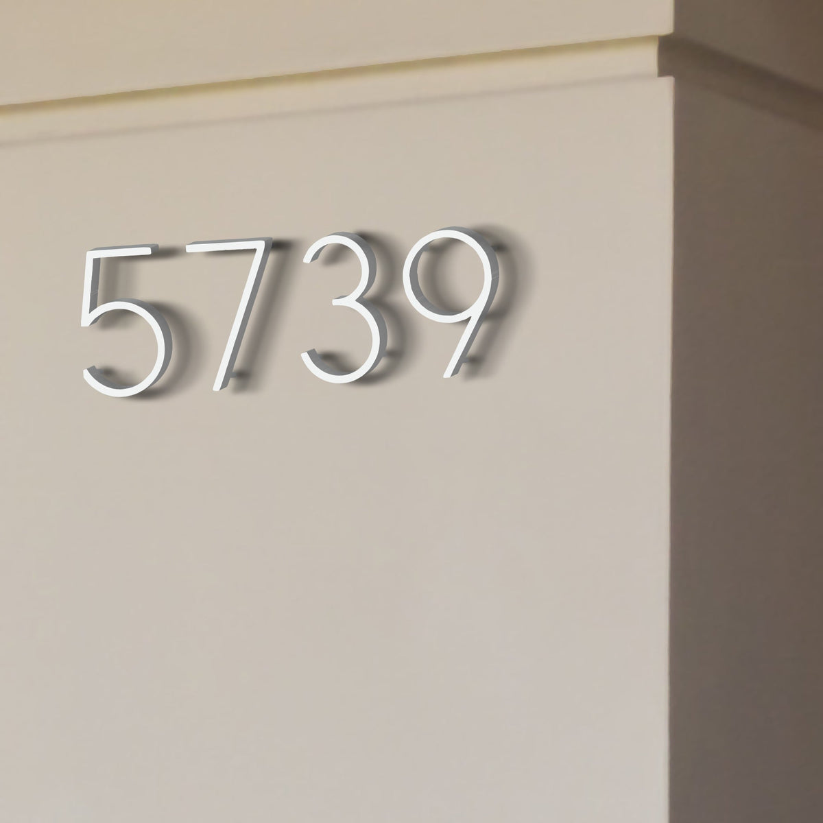 Reflective Modern Floating House Numbers